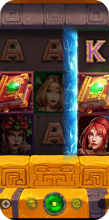 Book of the priestess